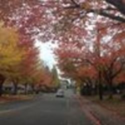 Re sized fb548254972 1398278917 ava