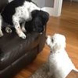 Re sized fb581562888 1372347137 ava