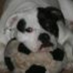 Re sized fb628861517 1381363971 ava