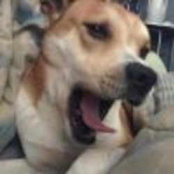 Re sized fb633824008 1366149420 ava