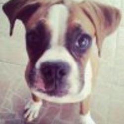 Re sized fb640134358 1389276905 ava