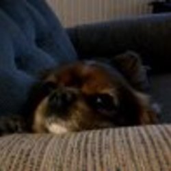 Re sized fb650629211 1357169313 ava