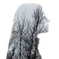 Re sized fb696262701 1396309744 ava