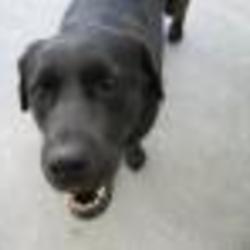 Re sized fb725268348 1359661088 ava