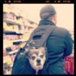 Re sized fb749303379 1359153097 ava