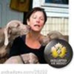 Re sized fb755703313 1382595305 ava