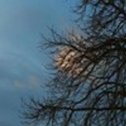 Re sized fb771951154 1394226667 ava