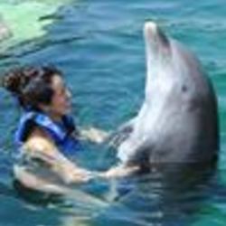 Re sized fb773960595 1373611184 ava