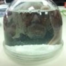 Re sized fb842039698 1366099791 ava