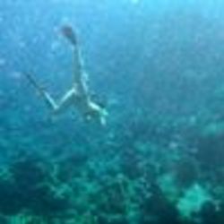 Re sized fb849905536 1397774344 ava