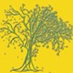 Re sized fb868445346 1370282815 ava