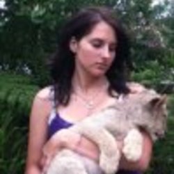 Re sized fb869190006 1366140567 ava