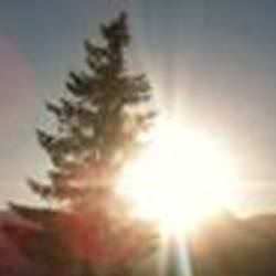 Re sized fb892075477 1375299742 ava