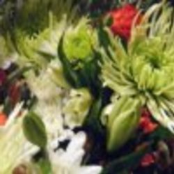 Re sized fb 1357926284 ava