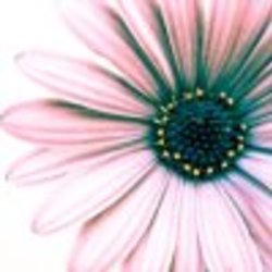 Re sized fb 1364101791 ava