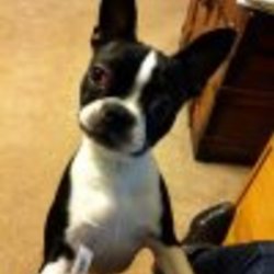 Re sized fb 1366982999 ava