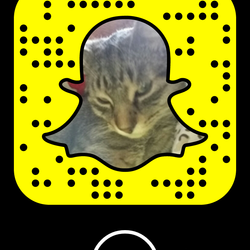 Re sized fc0f1d0af98724535a44 screenshot 2016 11 26 19 27 07