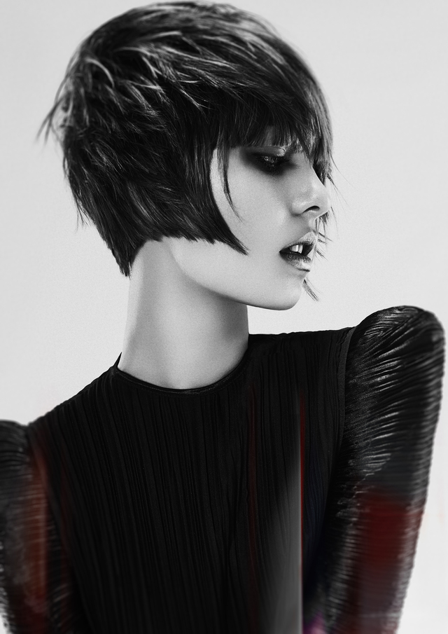 2017 NAHA Master Stylist of the Year Finalist 