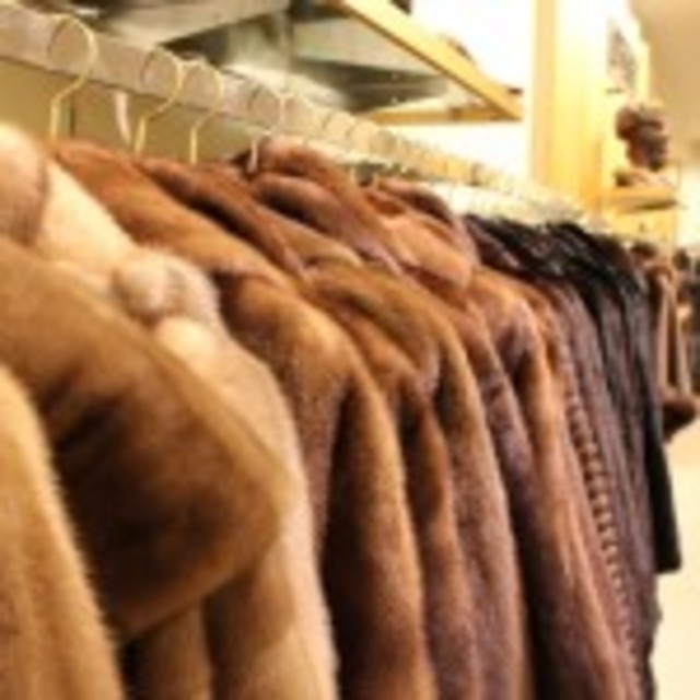 fur - coat - small