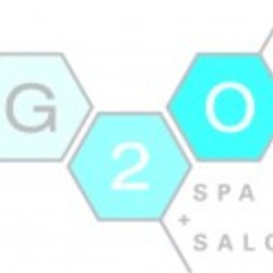 Re sized g2o logo ava