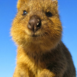 Re sized gg102876282268012006274 1391319649 ava