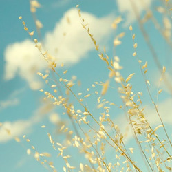 Re sized gg105013587149797705148 1360969793 ava