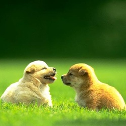 Re sized gg105279839486348452265 1376456543 ava