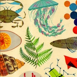 Re sized gg106233504634297789524 1390357916 ava