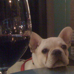 Re sized gg106751699240837206422 1360538482 ava