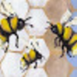 Re sized gg107281561514825084726 1391602019 ava