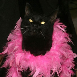 Re sized gg107622608445553925440 1361134231 ava