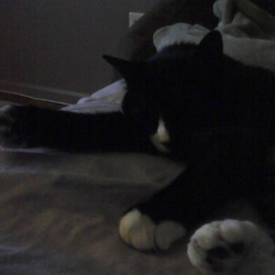 Re sized gg108600305504088624502 1366638219 ava