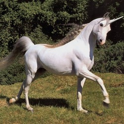 Re sized gg109030302620680495632 1361560432 ava