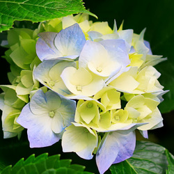 Re sized gg111533438631594119448 1379943594 ava