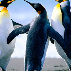 Re sized gg111591717113335201280 1376112936 ava