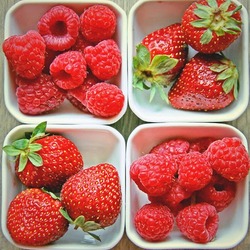 Re sized gg112659927435019309142 1366125546 ava