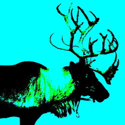 Re sized gg113679656845061321237 1398469067 ava