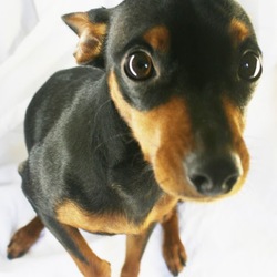 Re sized gg115223173155423062624 1382563383 ava