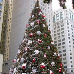 Re sized gg117716202616993437618 1388684356 ava