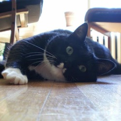 Re sized gg118373073414778085091 1388915613 ava