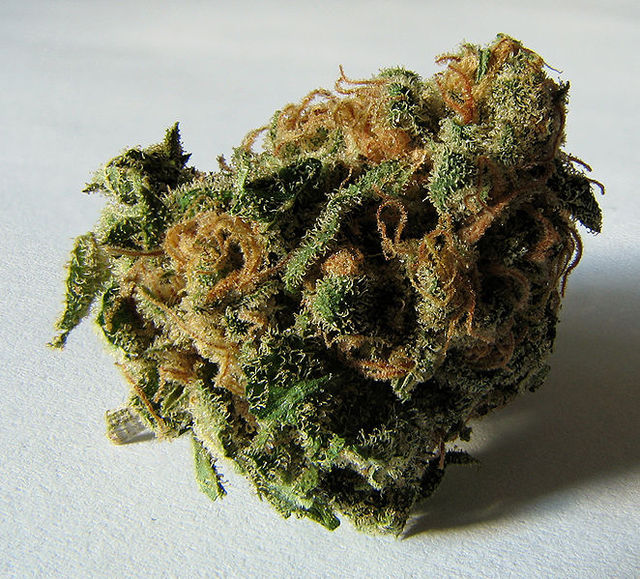 marijuana-bud