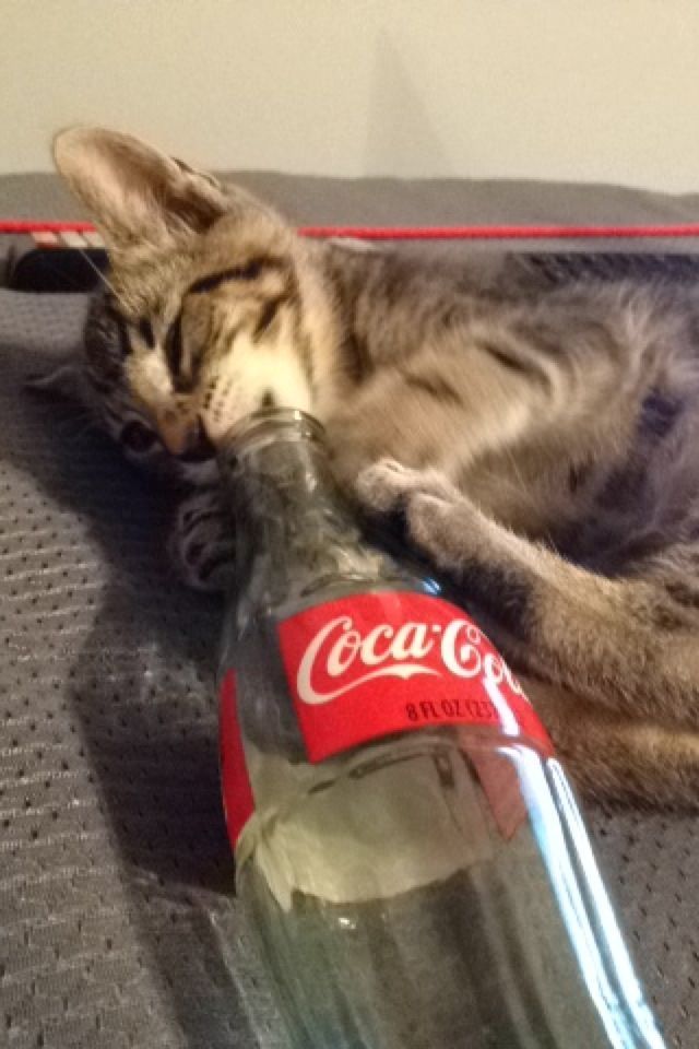 needz coke