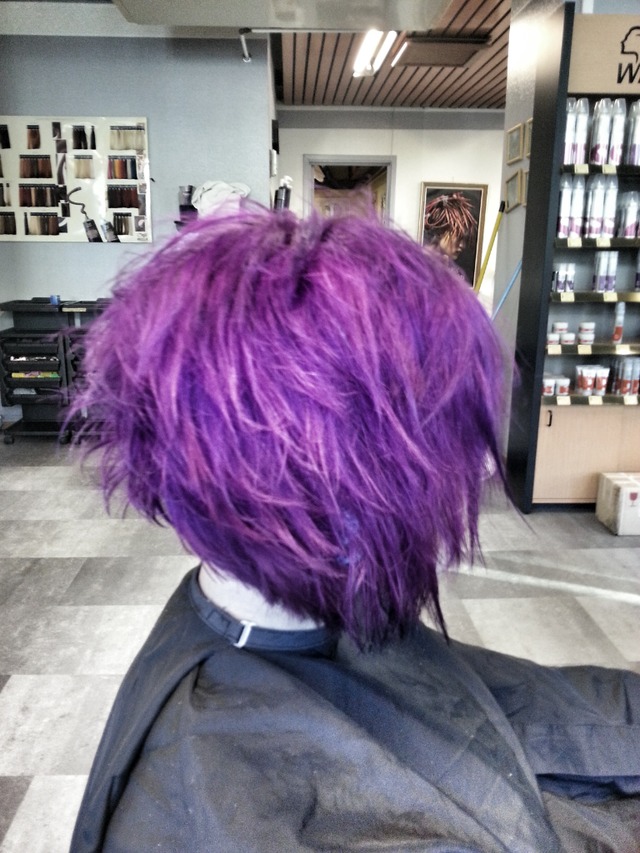 purple deare