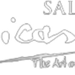 Re sized salon picasso logo ava