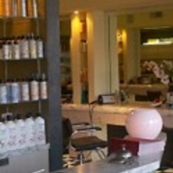 Re sized salon 161 ava