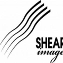 Re sized shear ava