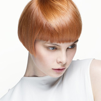 Thumb 03db84cb5534c56032cb freedom 2