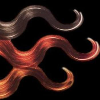 The Hair Color Salon LLC