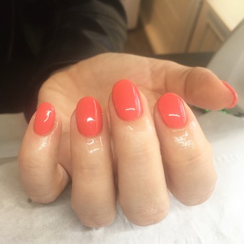 Forever Young Beauty Hut