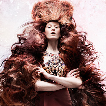 2015 Coiffure Nominee - Bangstyle - House of Hair Inspiration